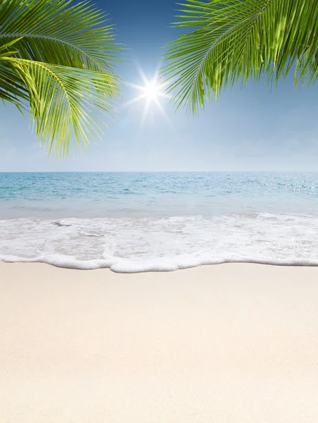 Uitzicht op mooi tropisch strand met enkele palmen — Stockfoto