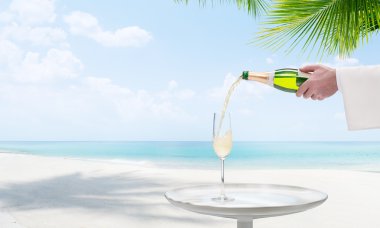 Palmiyeli güzel bir tropik sahil manzarası.