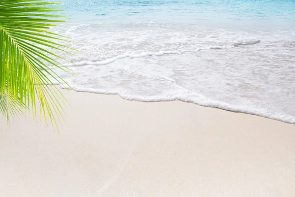 Vista de la bonita playa tropical con algunas palmeras —  Fotos de Stock