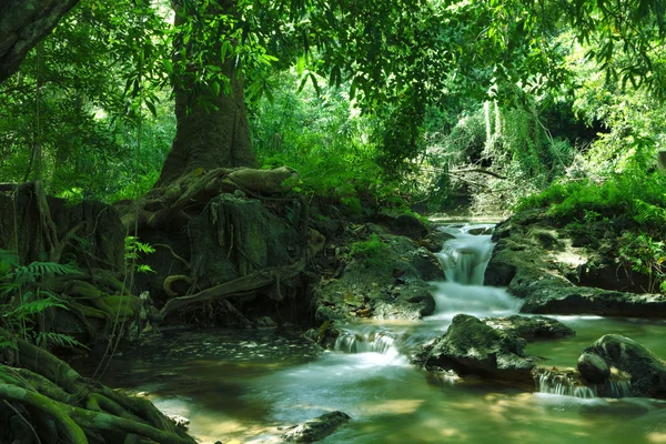 Vista panoramica di bella cascata e stagno in ambiente tropicale verde — Foto Stock