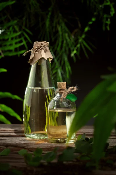 Vista de cerca de una bonita botella pequeña con aceite de masaje en la parte posterior del color —  Fotos de Stock