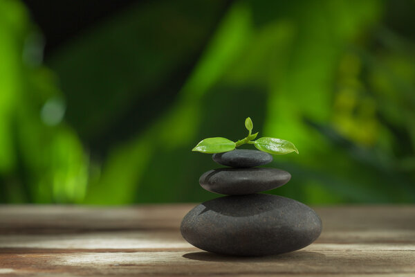 Закрыть вид на камни и листья на цветной задней панели
. 