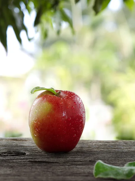 Vista de cerca de las manzanas frescas agradables en el fondo de color — Foto de Stock