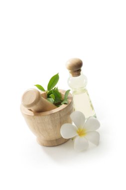 Beyaz sırtlı havan ve yağ manzarasını kapat. 