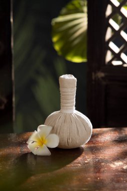 Bitkisel masaj görüntüsünü kapatın. Yeşil sırta sıkıştırın.. 