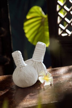 Bitkisel masaj görüntüsünü kapatın. Yeşil sırta sıkıştırın.. 