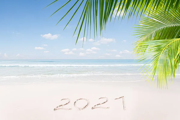 View Nice Christmas New Year Theme Tropical Beach — Stock Photo, Image