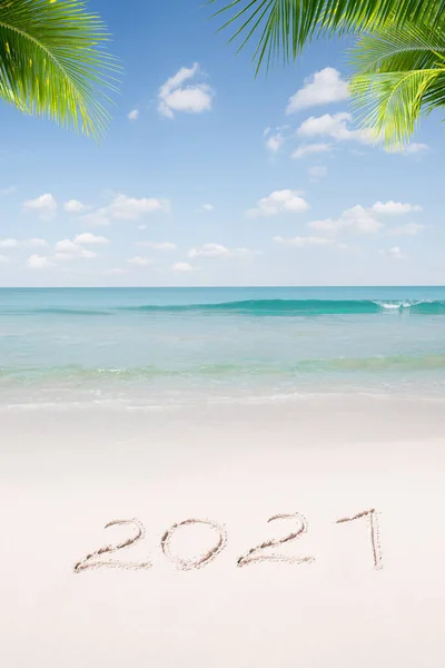 Vista Bonita Navidad Tema Año Nuevo Playa Tropical — Foto de Stock