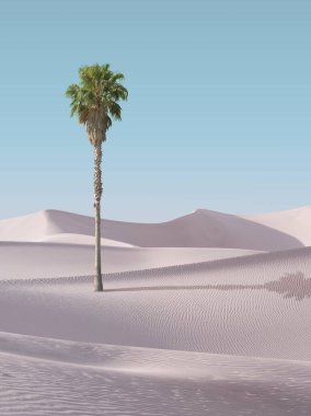 Sands Kumulları Ulusal Parkı 'nda kum tepeleri ve palmiye manzarası