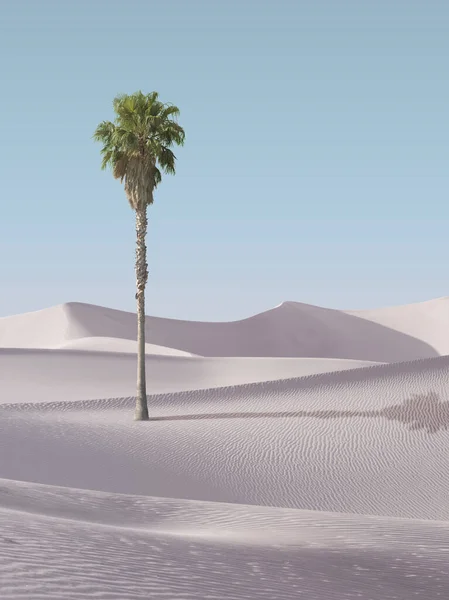 Uitzicht Mooie Zandduinen Palmen Bij Sands Dunes National Park — Stockfoto