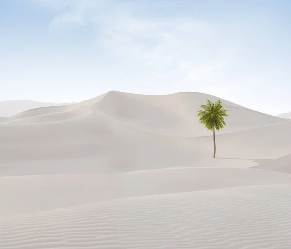 Uitzicht Mooie Zandduinen Palmen Bij Sands Dunes National Park — Stockfoto