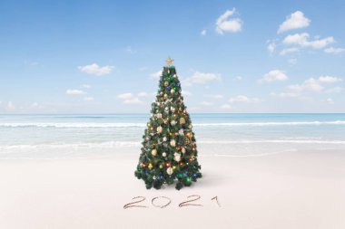 Güzel bir Noel ve yeni yıl temalı tropikal plaj manzarası 