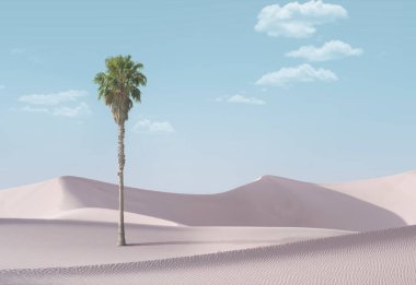 Sands Kumulları Ulusal Parkı 'nda kum tepeleri ve palmiye manzarası
