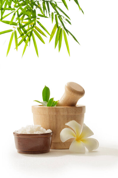 крупный план фазана и соли на белой спине. 