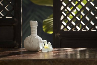 Bitkisel masaj görüntüsünü kapatın. Yeşil sırta sıkıştırın.. 