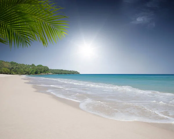 Blick Auf Schönen Tropischen Strand Mit Einigen Palmen — Stockfoto