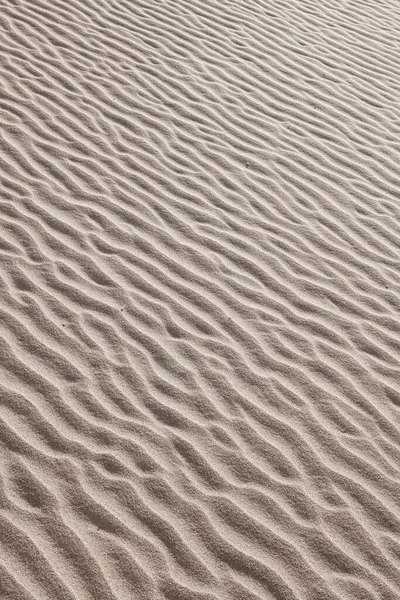 Заверніть Огляд Піщаних Дюн Національному Парку Сендс Дунс — стокове фото