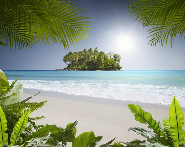 美丽的热带海滩 有一些棕榈树和岛屿 — 图库照片