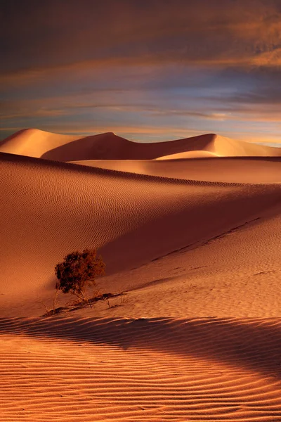 Θέα Των Ωραία Αμμόλοφους Και Φοίνικα Sands Dunes Εθνικό Πάρκο — Φωτογραφία Αρχείου