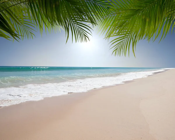 Blick Auf Schönen Tropischen Strand Mit Einigen Palmen — Stockfoto