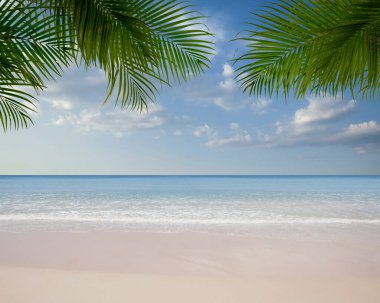 Palmiyeli güzel bir tropik sahil manzarası.