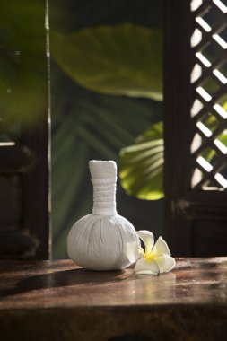 Bitkisel masaj görüntüsünü kapatın. Yeşil sırta sıkıştırın.. 