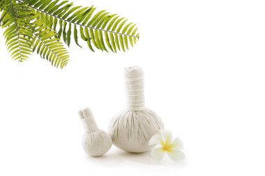 Bitkisel masaj görüntüsünü kapatın. Beyaz sırta sıkıştırın.. 