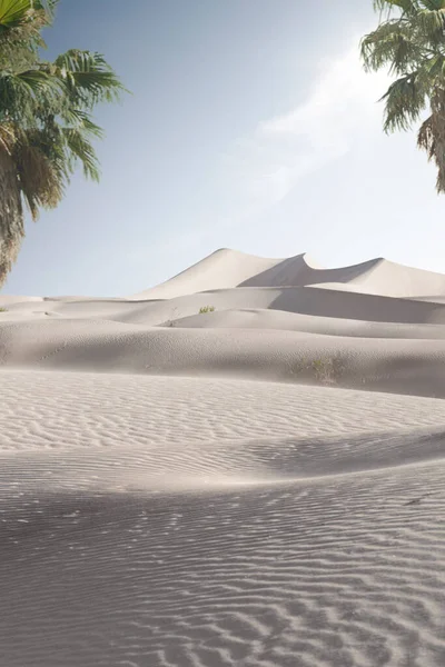 Вид Красивые Песчаные Дюны Пальмы Национальном Парке Песчаных Дюн — стоковое фото