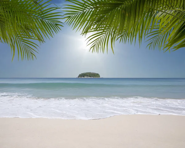Uitzicht Mooi Tropisch Strand Met Enkele Palmen — Stockfoto