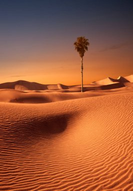 Sands Kumulları Ulusal Parkı 'nda kum tepeleri ve palmiye manzarası