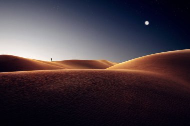 Sands Kumulları Ulusal Parkı 'nda kum tepeleri ve palmiye manzarası