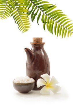 Beyaz sırtlı tuz ve yağ manzarasını kapat. 