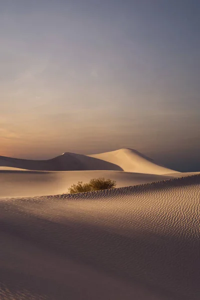 Blick Auf Schöne Sanddünen Und Palmen Sands Dunes National Park — Stockfoto