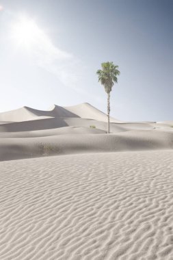 Sands Kumulları Ulusal Parkı 'nda kum tepeleri ve palmiye manzarası