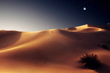Kaliforniya 'daki Sands Dunes Ulusal Parkı' ndaki kumulların manzarası
