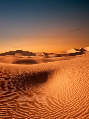 Sands Kumulları Ulusal Parkı 'nda kum tepeleri ve palmiye manzarası