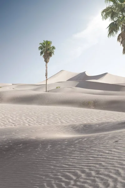 Uitzicht Mooie Zandduinen Palmen Bij Sands Dunes National Park — Stockfoto