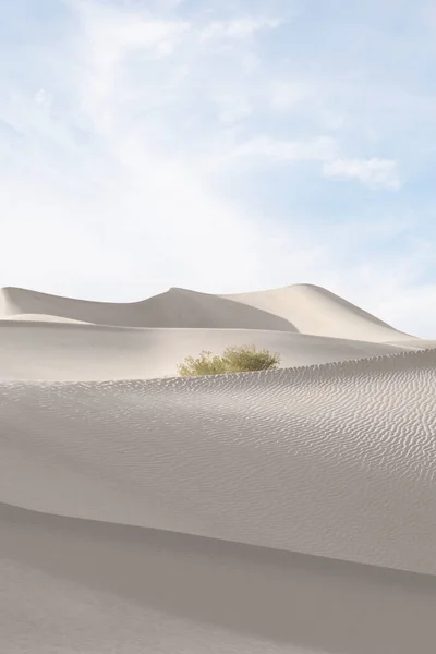 Vista Belle Dune Sabbia Parco Nazionale Sands Dunes — Foto Stock