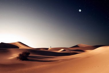 Sands Dunes Ulusal Parkı 'ndaki kumulların manzarası