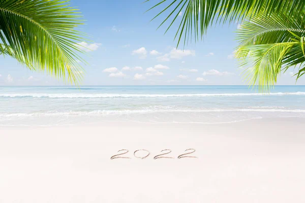 Vista Bonita Navidad Tema Año Nuevo Playa Tropical — Foto de Stock