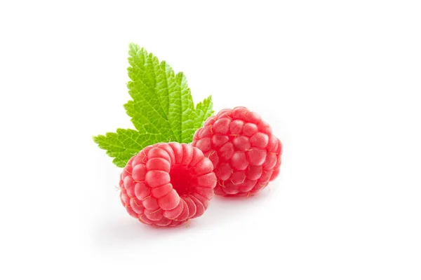 Berriesberries — 스톡 사진