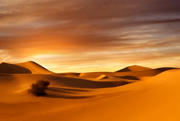 Zonsondergang duinen — Stockfoto
