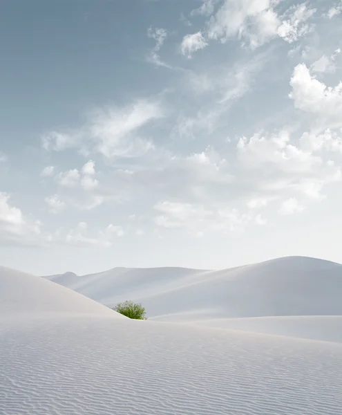 Weißer Sand — Stockfoto