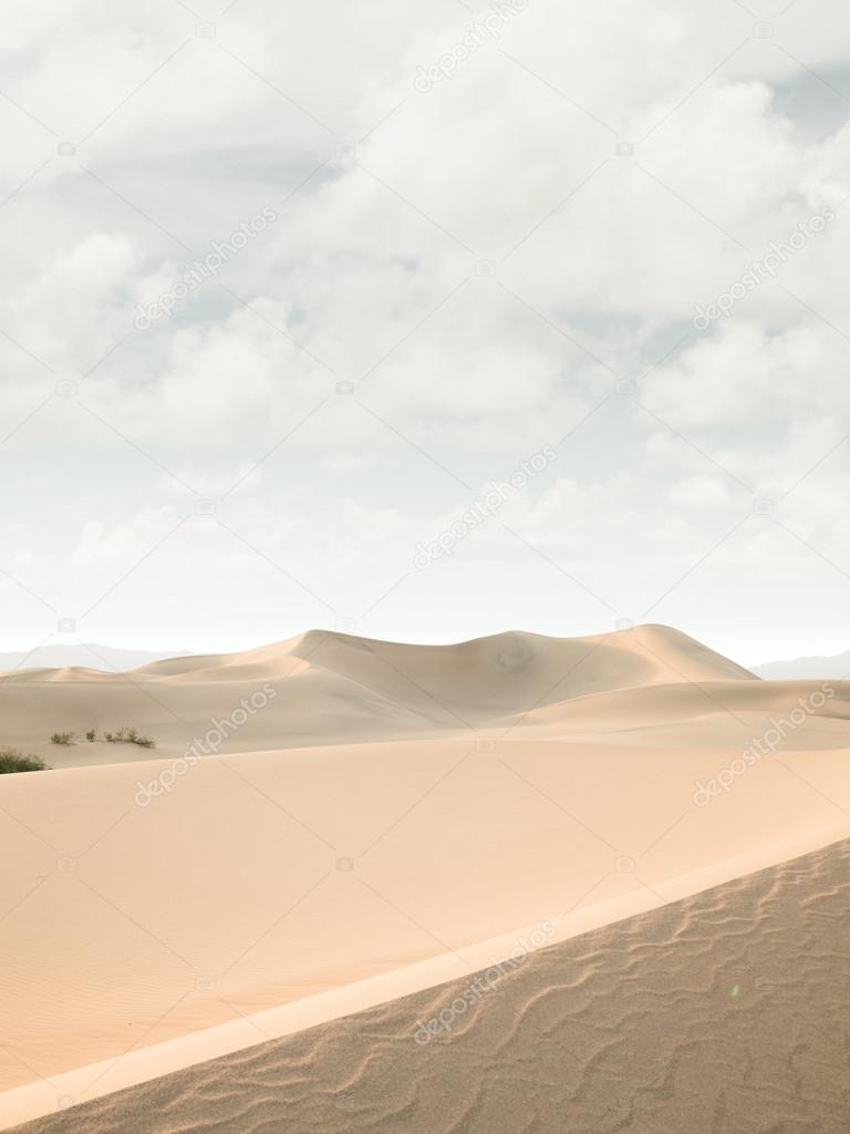 Day in desert