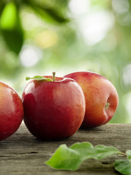 Manzanas — Foto de Stock