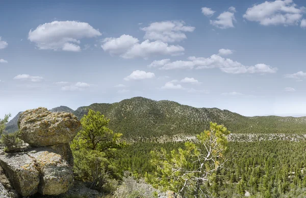 Paisaje — Foto de Stock