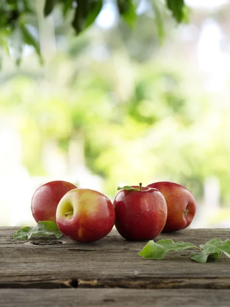 Cuatro manzanas — Foto de Stock