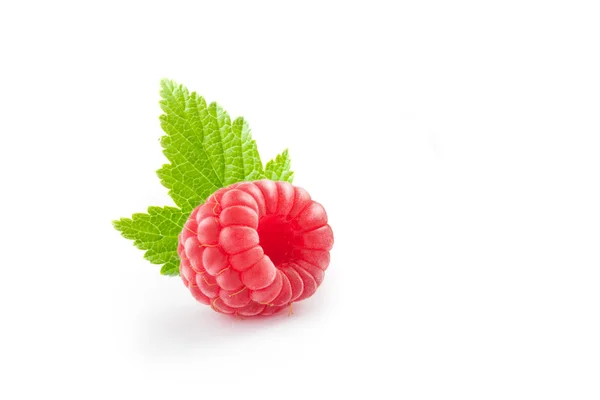 Berry — Stock Photo, Image