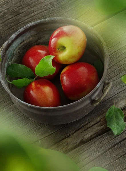 Apples — Stock Photo, Image