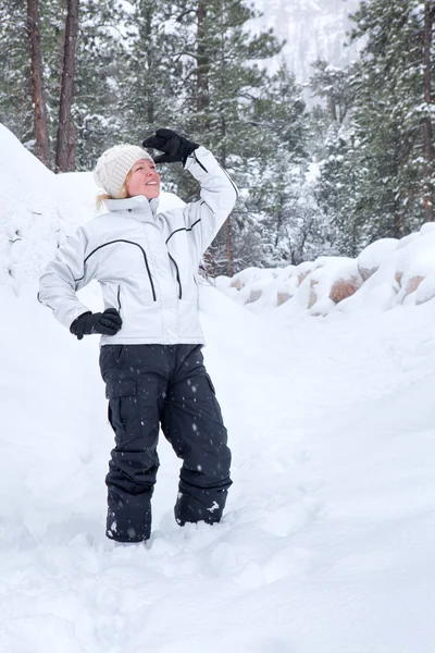 Winter banner winter banner — Stockfoto